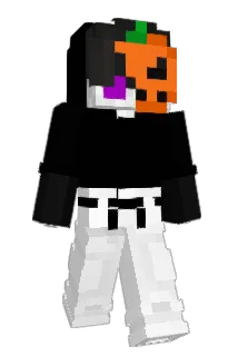 bott_7 Minecraft avatar full body