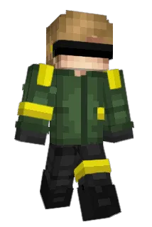 bourbakinicolas Minecraft avatar full body