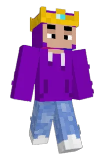 bowseee17 Minecraft avatar full body