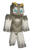boyinatree Minecraft avatar full body