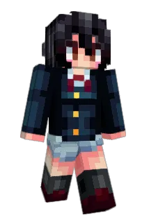 boyydivision Minecraft avatar full body