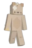 bqmbii Minecraft avatar full body