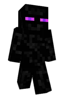 br4dyz Minecraft avatar full body