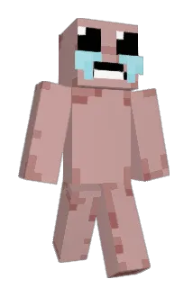 br8m Minecraft avatar full body
