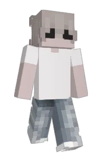 bradn Minecraft avatar full body