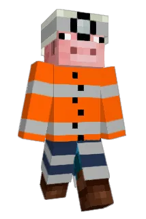 bradp55 Minecraft avatar full body