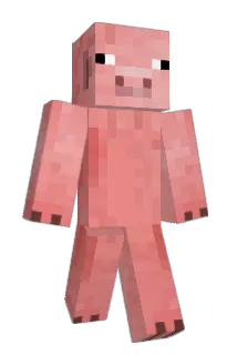brady4k Minecraft avatar full body