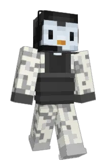 brae3k Minecraft avatar full body