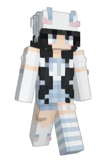 braiere Minecraft avatar full body