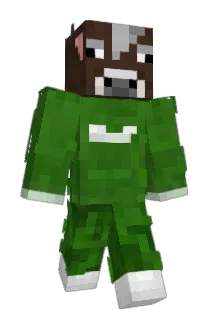 brainscript Minecraft avatar full body