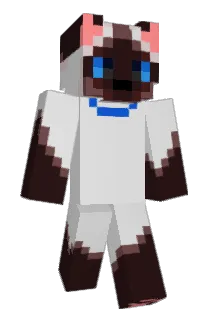 bravecat299 Minecraft avatar full body