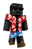 brawlstarsking Minecraft avatar full body
