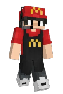 braxil Minecraft avatar full body