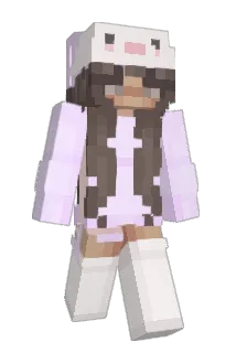 bresworldd Minecraft avatar full body