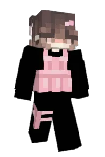 bri127 Minecraft avatar full body