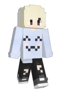 bri2328 Minecraft avatar full body