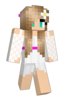 bri511 Minecraft avatar full body