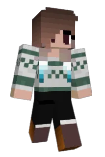 brianagracee Minecraft avatar full body