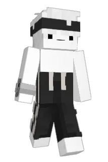 bridg3r Minecraft avatar full body