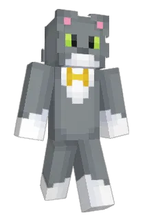 briguy123321 Minecraft avatar full body