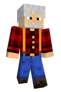 brihan Minecraft avatar full body