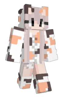 brihgd Minecraft avatar full body