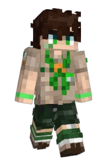 briilindao Minecraft avatar full body