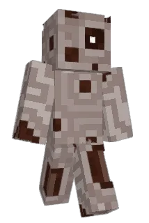 brikman3 Minecraft avatar full body