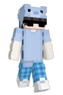 brillemand_ Minecraft avatar full body