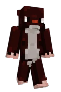 brinlol24 Minecraft avatar full body