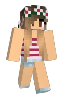 briridd Minecraft avatar full body