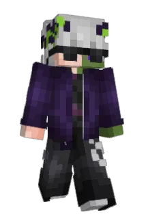 brlw Minecraft avatar full body
