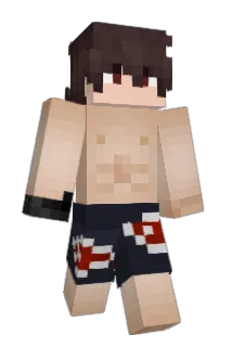 brnS2_ Minecraft avatar full body