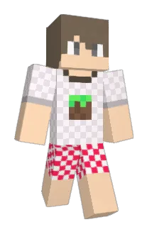 brn_0516 Minecraft avatar full body