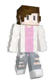 brnie Minecraft avatar full body