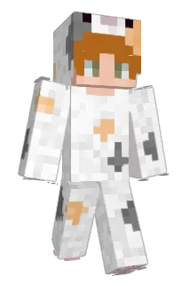 brobyyy Minecraft avatar full body
