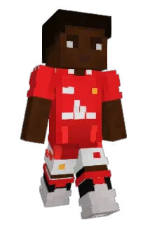 brofi4 Minecraft avatar full body