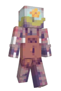 brokeroach Minecraft avatar full body