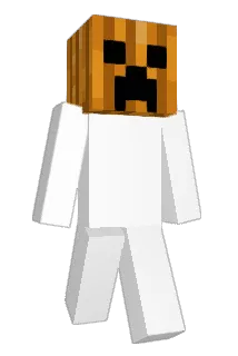 bronse42 Minecraft avatar full body