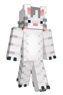 brookiecookie626 Minecraft avatar full body