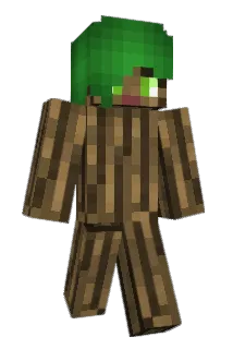 broom14 Minecraft avatar full body