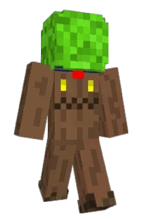 broskipoint Minecraft avatar full body
