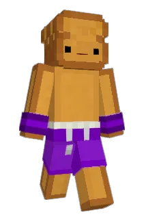 brot_box Minecraft avatar full body