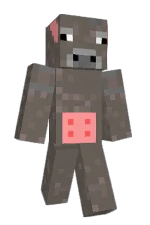 brownswiss Minecraft avatar full body