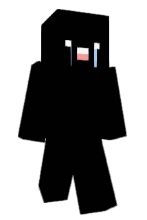 brtl Minecraft avatar full body