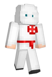 bruceleee69 Minecraft avatar full body