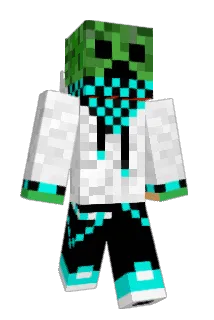 bruiser1234 Minecraft avatar full body