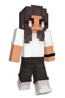 brunevis Minecraft avatar full body