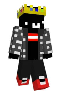 bruninnl Minecraft avatar full body