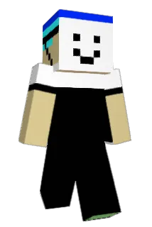 brunix312 Minecraft avatar full body